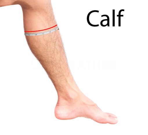 Calf